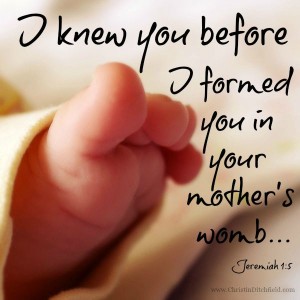 I Formed You In Your Mother's Womb Jeremiah 1.5 - Christin Ditchfield